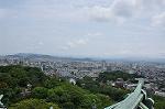 Dcim10328/DSC_1371