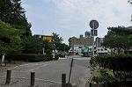 Dcim10329/DSC_1463
