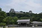 Dcim10329/DSC_1487