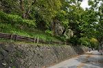 Dcim10329/DSC_1510