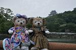Dcim10329/DSC_1541