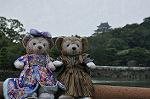 Dcim10329/DSC_1542