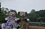 Dcim10329/DSC_1543