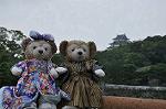 Dcim10329/DSC_1544