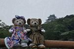 Dcim10329/DSC_1545