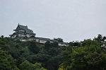 Dcim10330/DSC_1649