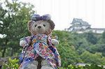 Dcim10330/DSC_1677