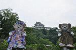 Dcim10330/DSC_1688