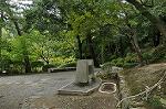 Dcim10331/DSC_1703
