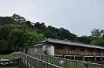 Dcim10331/DSC_1761