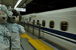 Dcim10331/DSC_1824
