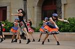 Dcim10337/DSC_1873