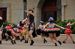 Dcim10337/DSC_1878