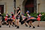 Dcim10337/DSC_1879