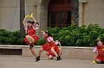 Dcim10338/DSC_2001