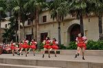 Dcim10338/DSC_2012