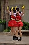 Dcim10338/DSC_2037