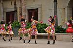 Dcim10338/DSC_2065