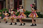 Dcim10338/DSC_2072