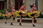 Dcim10338/DSC_2073