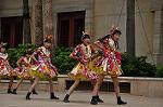 Dcim10338/DSC_2077
