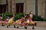 Dcim10338/DSC_2078