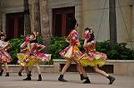 Dcim10338/DSC_2081