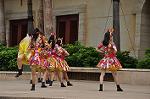Dcim10338/DSC_2086