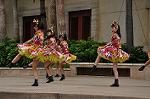 Dcim10338/DSC_2093