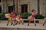 Dcim10338/DSC_2095