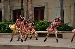 Dcim10338/DSC_2096