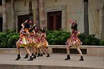 Dcim10338/DSC_2098