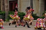 Dcim10339/DSC_2130