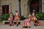 Dcim10339/DSC_2140