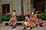 Dcim10339/DSC_2141