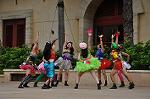 Dcim10339/DSC_2233