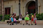 Dcim10339/DSC_2243