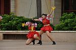Dcim10342/DSC_2543