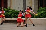 Dcim10342/DSC_2544