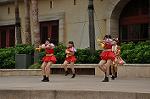 Dcim10342/DSC_2547