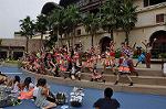 Dcim10342/DSC_2667