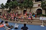 Dcim10342/DSC_2668
