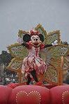 Dcim10343/DSC_2731