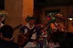 Dcim10346/DSC_3116