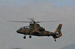 Dcim10372/DSC_6333
