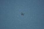 Dcim10375/DSC_6737