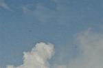 Dcim10375/DSC_6742