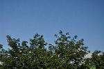 Dcim10382/DSC_7464