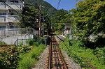Dcim10383/DSC_7649