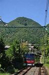 Dcim10383/DSC_7667